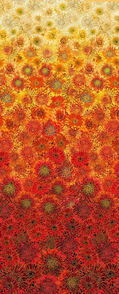 Give Thanks Fabric